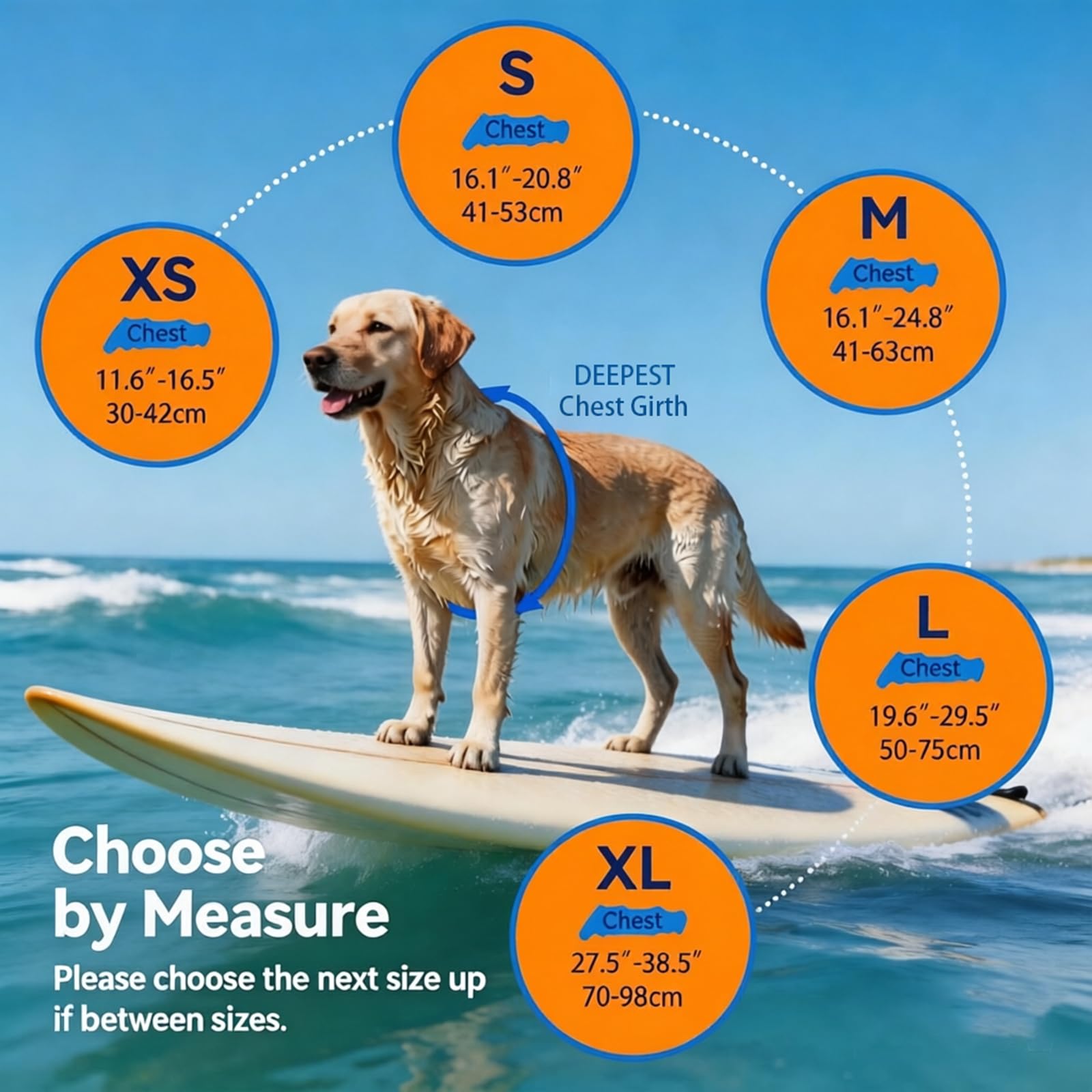 Dogcheer gilet sauvetage chien mousse sans PVC, flottabilité légère et durable.