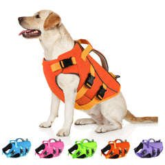 Dogcheer gilet sauvetage chien double poignée, pratique pour sortir le chien de l’eau rapidement.