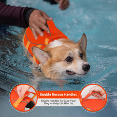 Dogcheer gilet sauvetage chien poignee réfléchissante, meilleure visibilité au crépuscule.