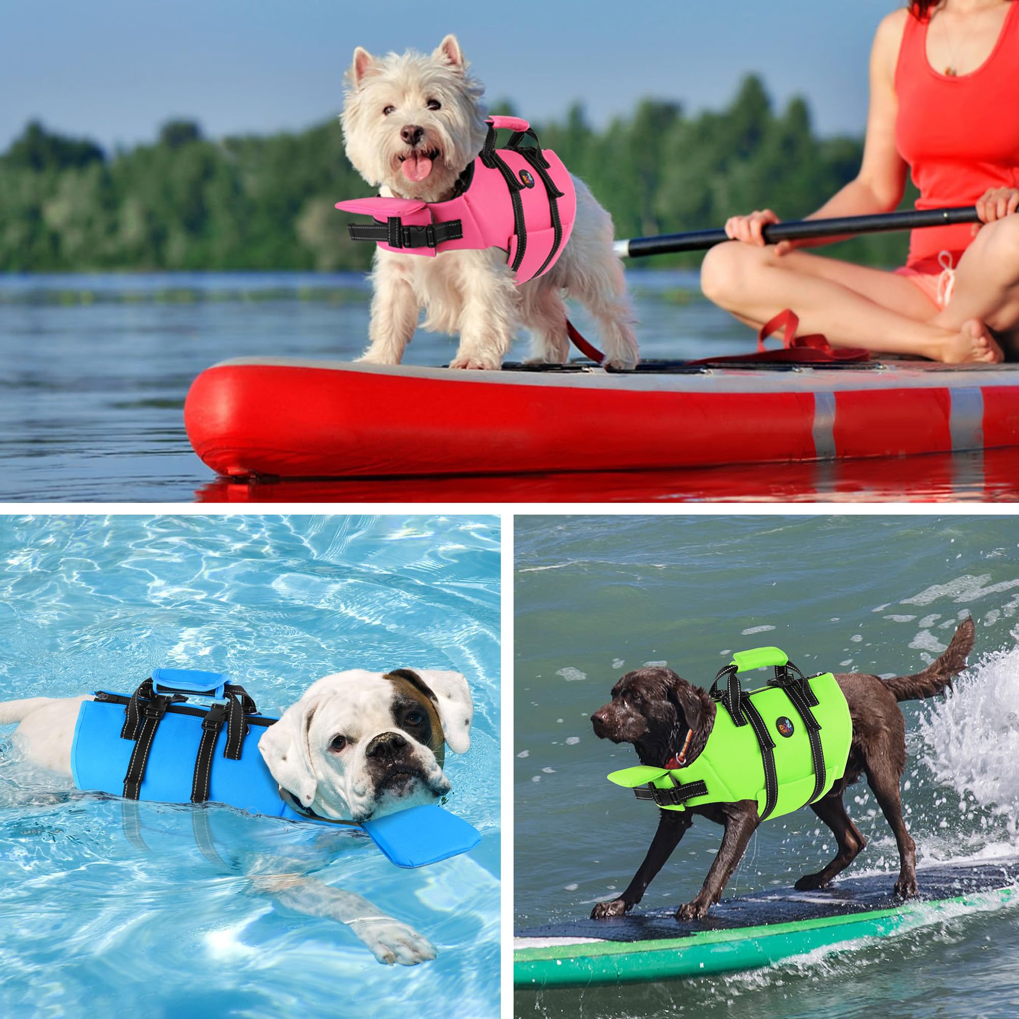 Dogcheer gilet sauvetage : tailles réglables pour tous les chiens.