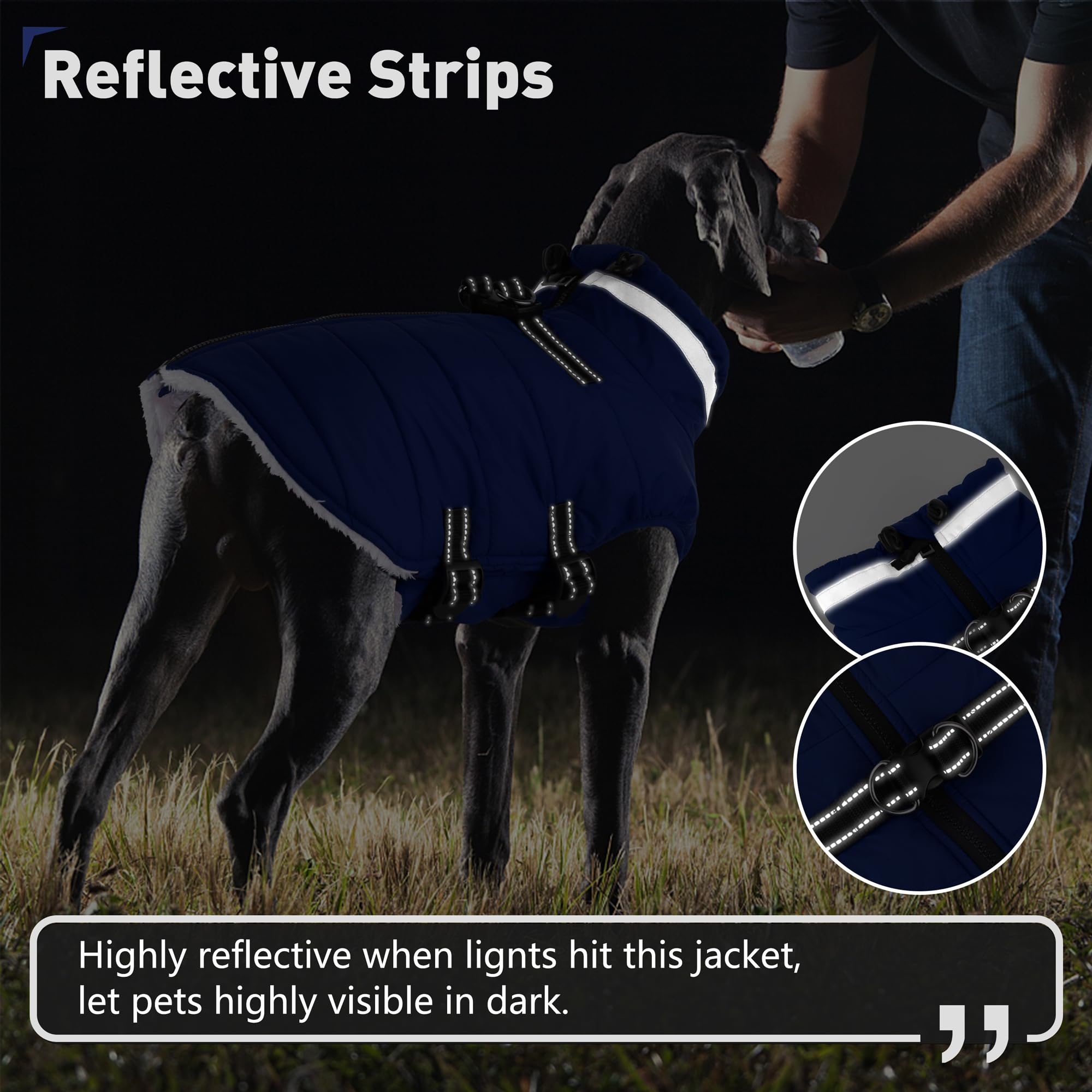 Dogcheer manteau bandes réfléchissantes pour meilleure visibilité nocturne.