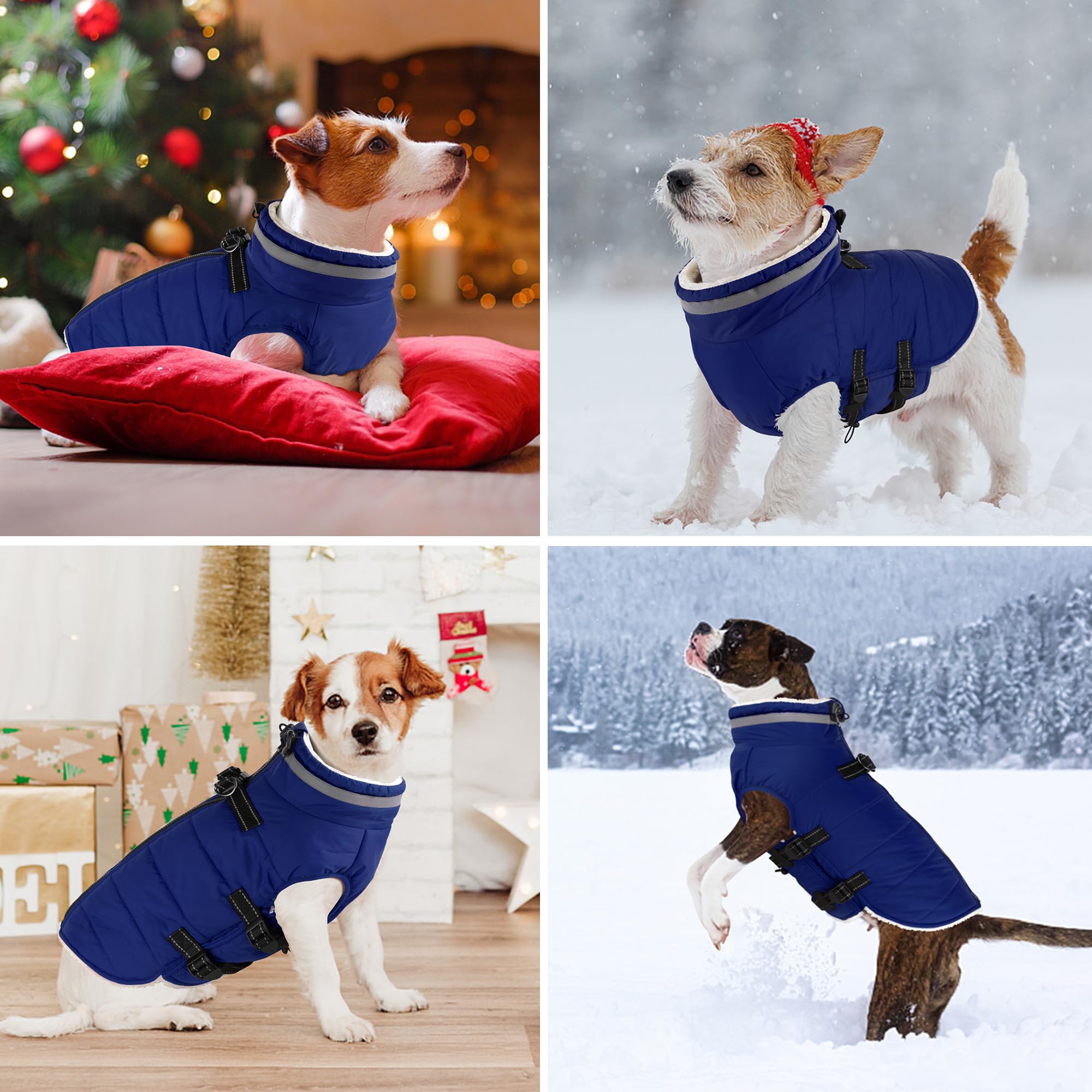 Dogcheer manteau doublure polaire chaude pour plus de confort.