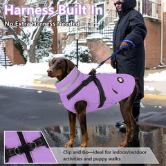 Dogcheer manteau avec doublure polaire douce pour le confort lors des promenades.