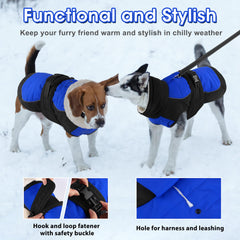 Dogcheer manteau chien fixation rapide et boucle de sécurité, mise en place facile.