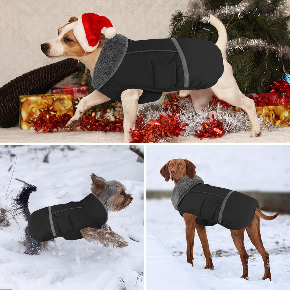 Dogcheer manteau chien imperméable noir, bandes réfléchissantes pour sécurité nocturne
