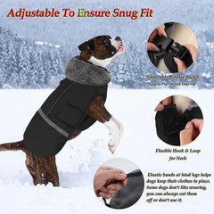 Dogcheer manteau chien imperméable noir, doublure polaire pour plus de chaleur