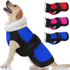 Dogcheer manteau chien impermeable, protection contre pluie et froid pour promenades quotidiennes.