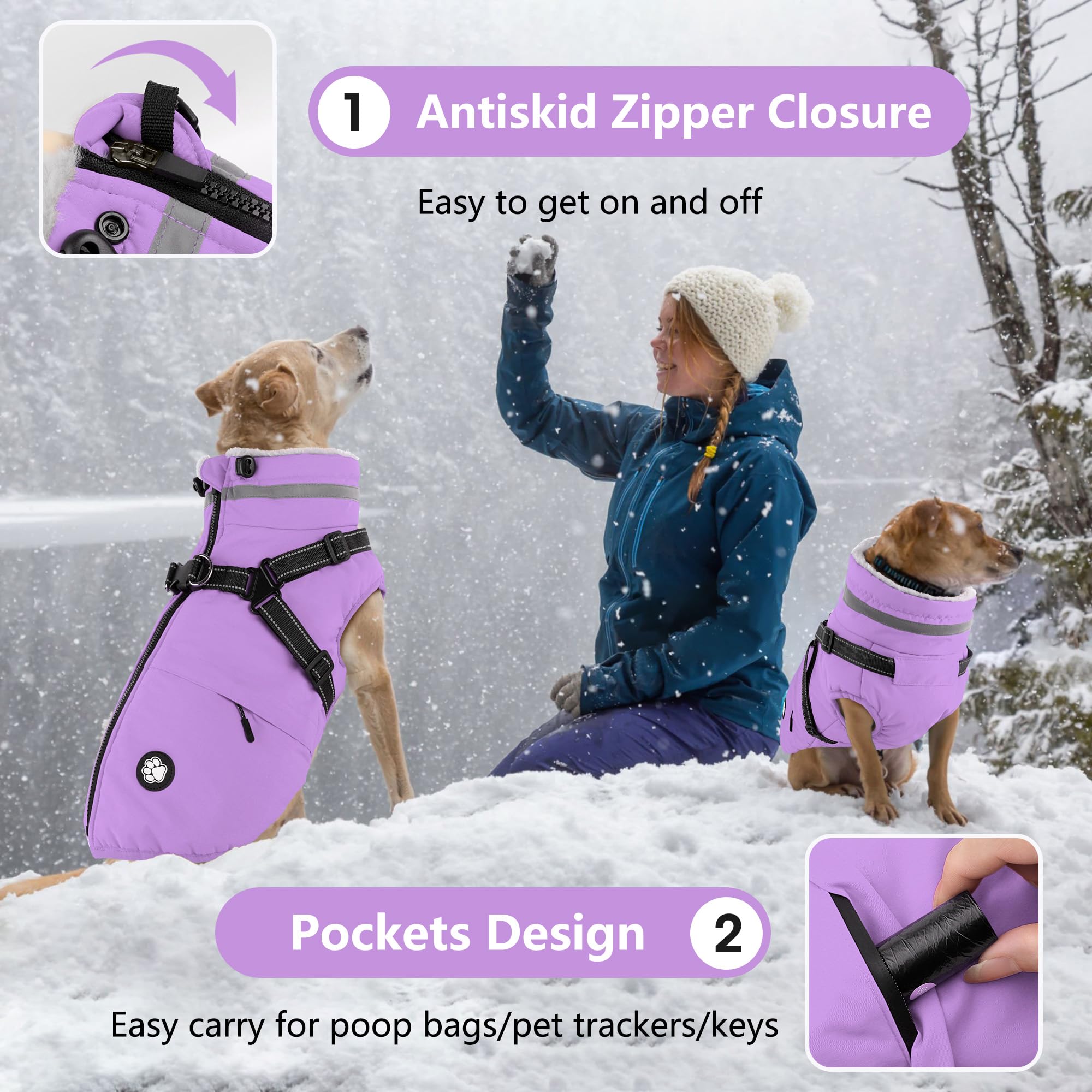 Dogcheer poches zippées à l'arrière pour accessoires lors des sorties.