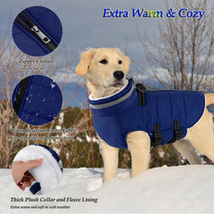 Dogcheer manteau et sangles réglables pour ajustement confortable.