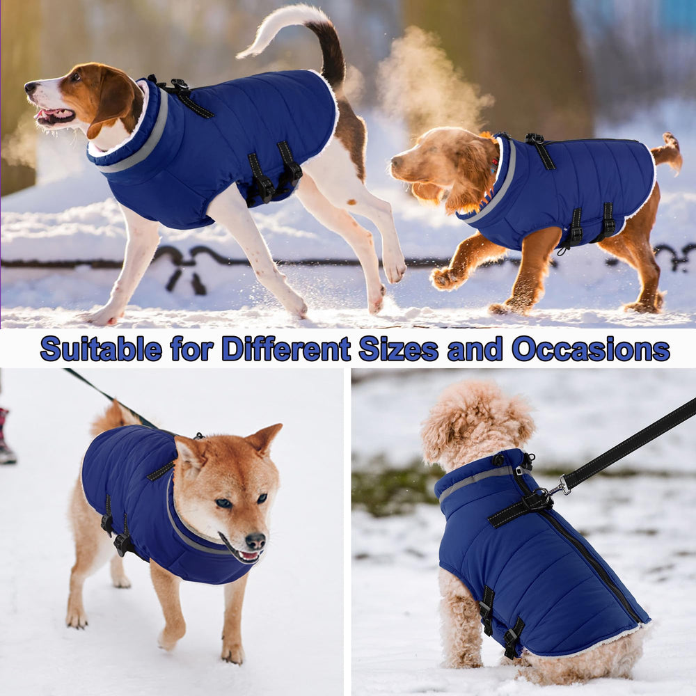 Dogcheer manteau idéal pour sorties hivernales et temps froid.