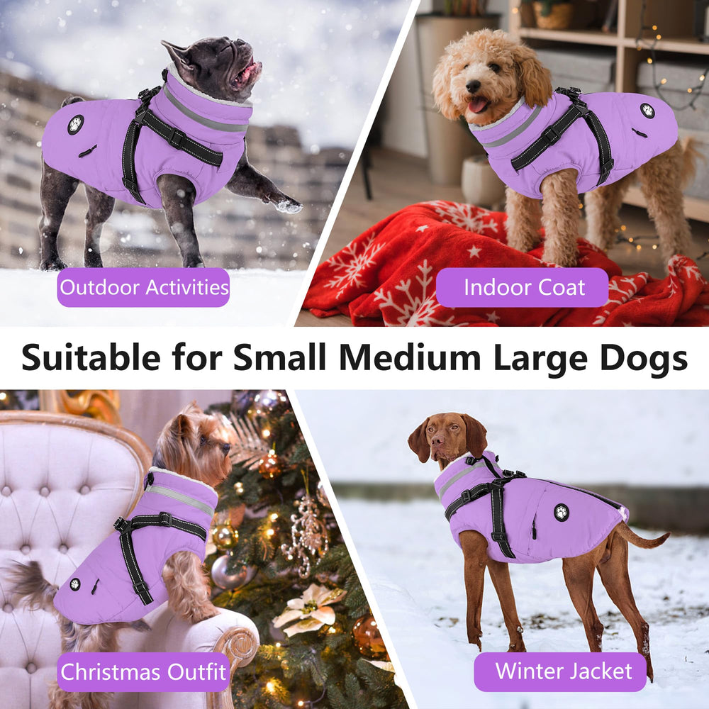 Dogcheer manteau taro violet taille L prêt pour activités quotidiennes.