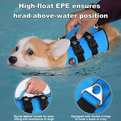 Dogcheer poignee de sauvetage, prise rapide en situation d’urgence.