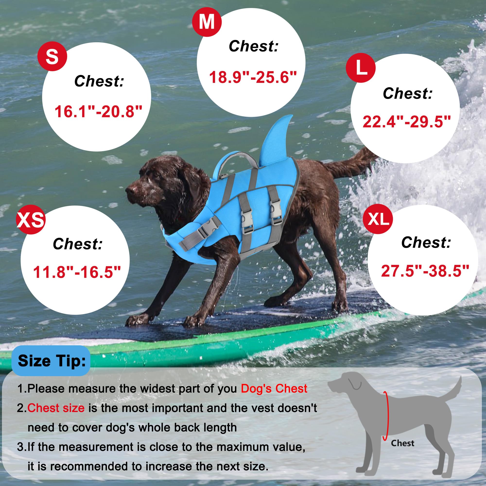 Dogcheer utilisation-eau-chien : parfait pour natation et jeux sur l'eau.