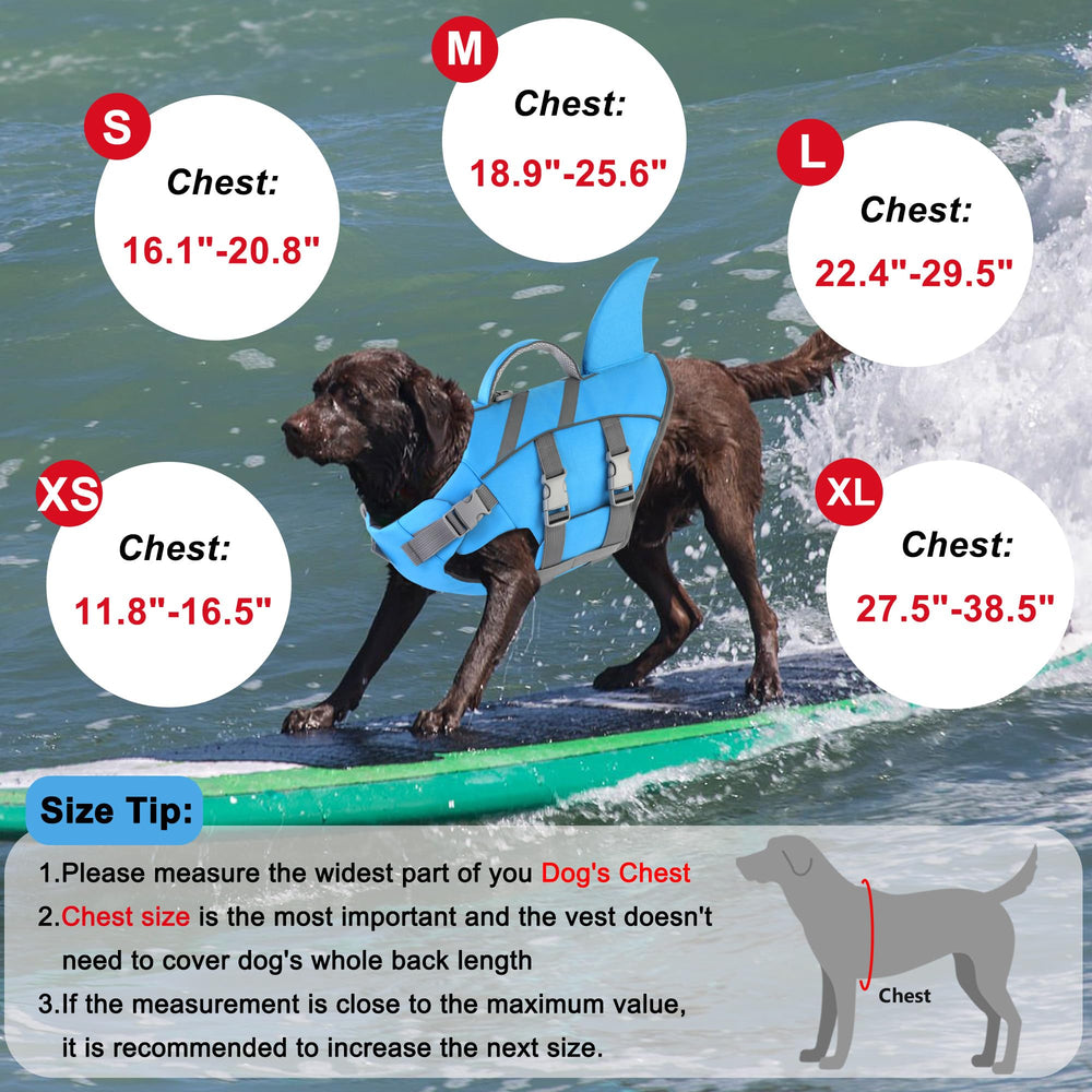 Dogcheer utilisation-eau-chien : parfait pour natation et jeux sur l'eau.