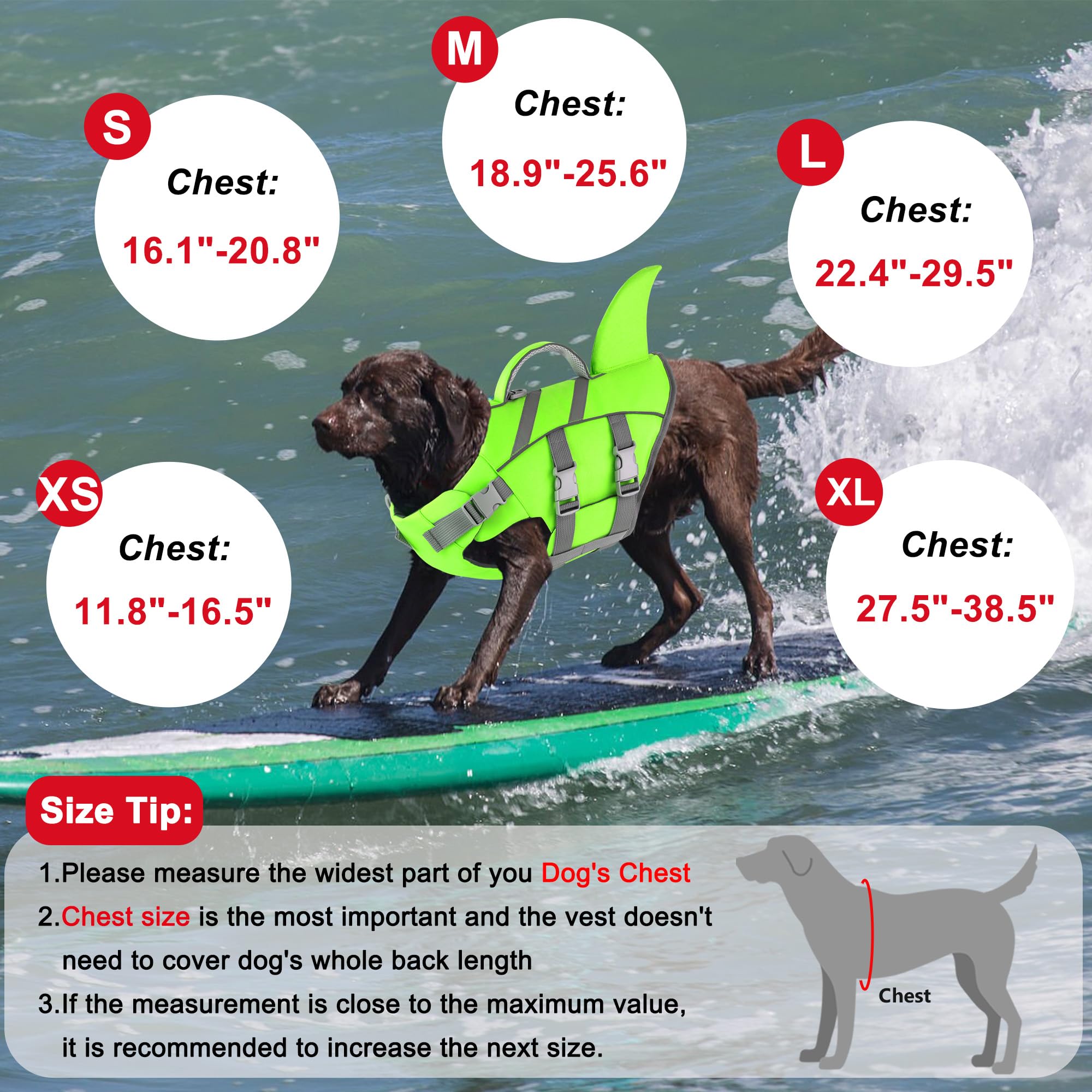 Dogcheer veste sauvetage chien activités nautiques comme planche à pagaie