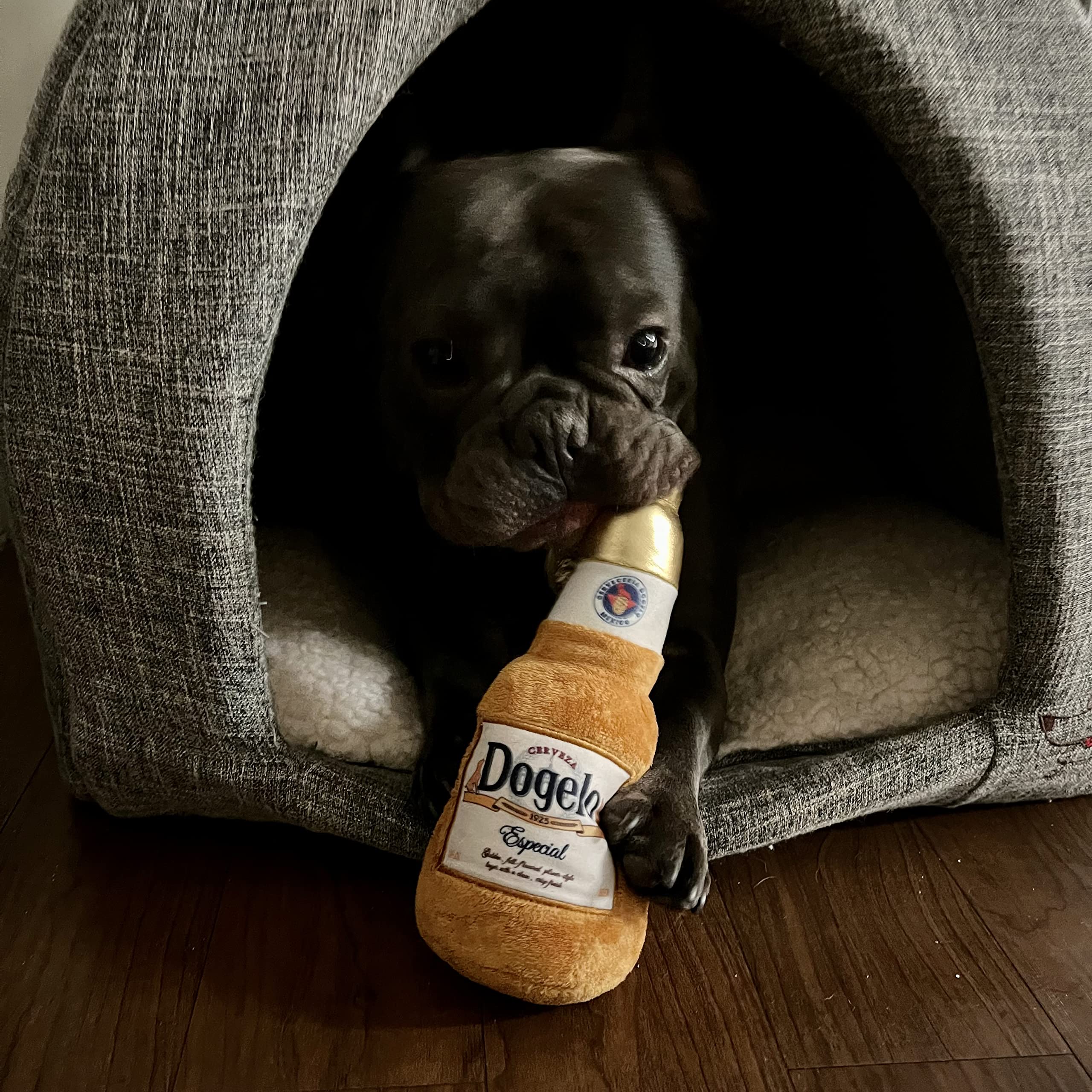 Dogelo taille 8,5 pouces peluche bière adaptée à toutes les tailles du chien