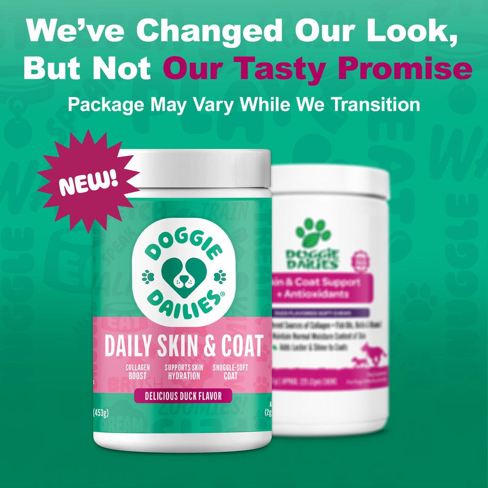 Doggie Dailies avis clients chiens actifs et heureux