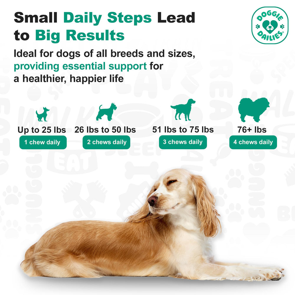 Certifications GMP et SQF sur Doggie Dailies.