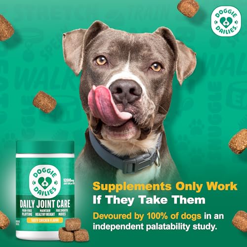 Doggie Dailies – chien-mange-friandises, goût apprécié par les chiens.