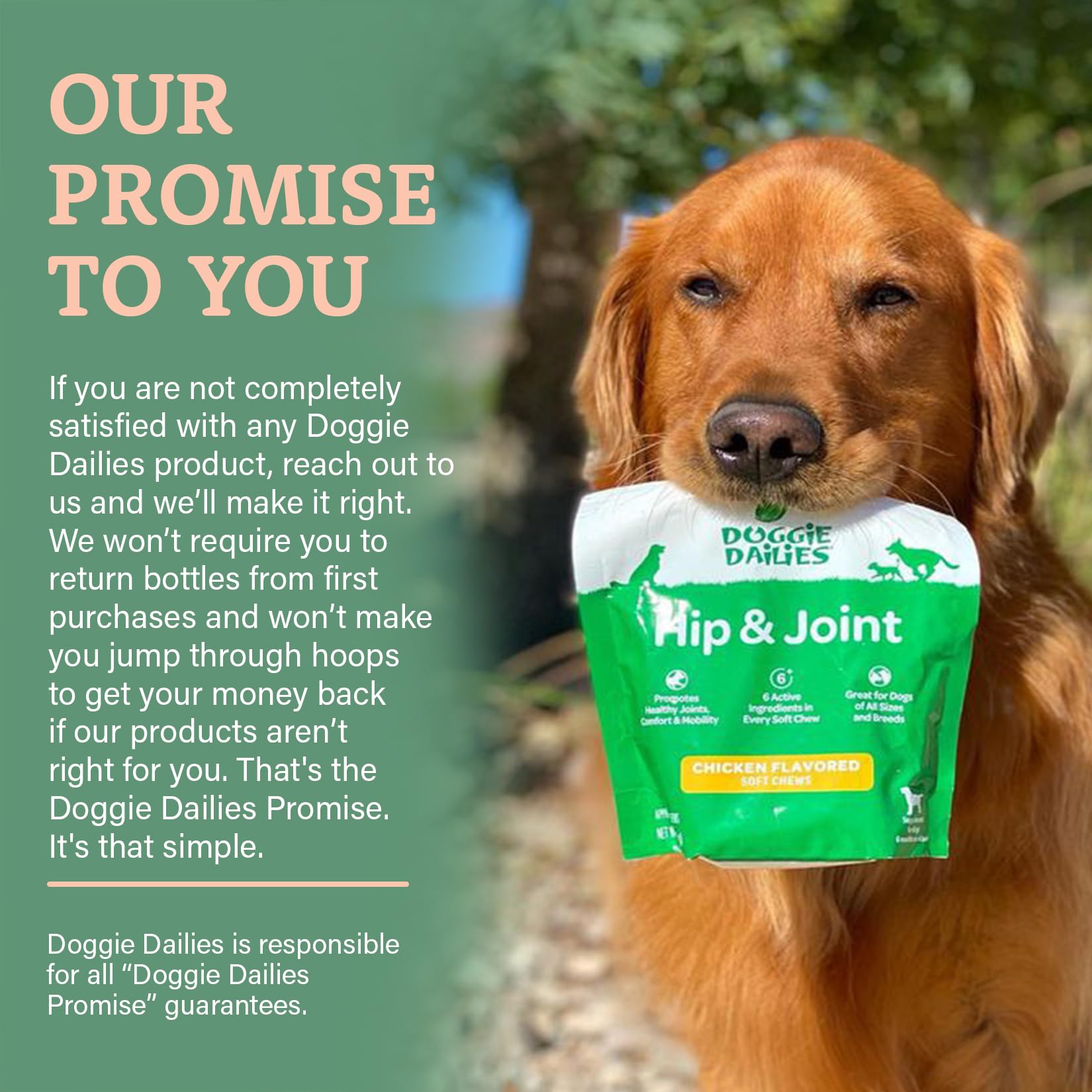 Doggie Dailies pour chiens de toutes tailles, flexibilité d’emploi