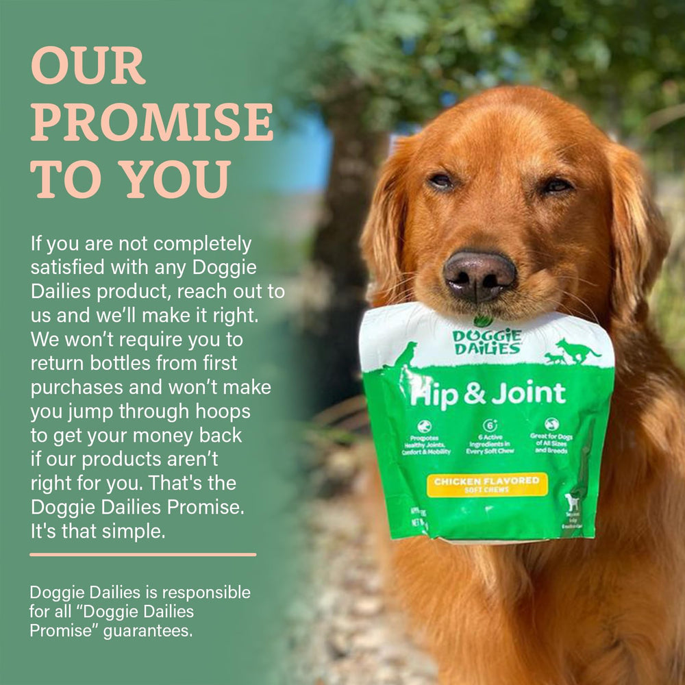 Doggie Dailies pour chiens de toutes tailles, flexibilité d’emploi