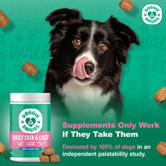 Doggie Dailies: collagène triple source pour le pelage et les articulations.