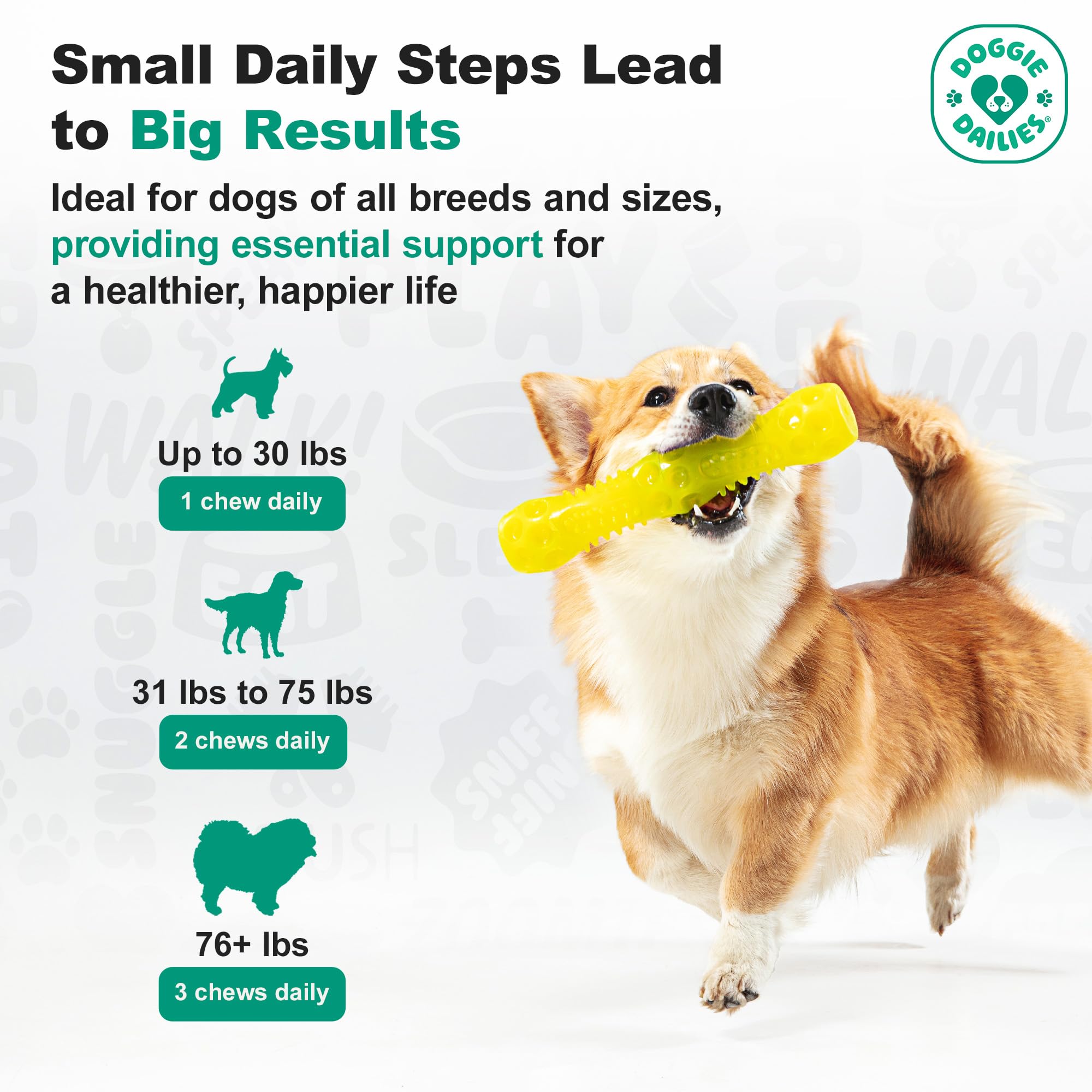 Doggie Dailies oméga-turmerique: mélange riche pour peau et pelage sains.