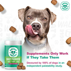 Doggie Dailies Probiotiques friandises canard, goût apprécié et soutien digestif potentiel.