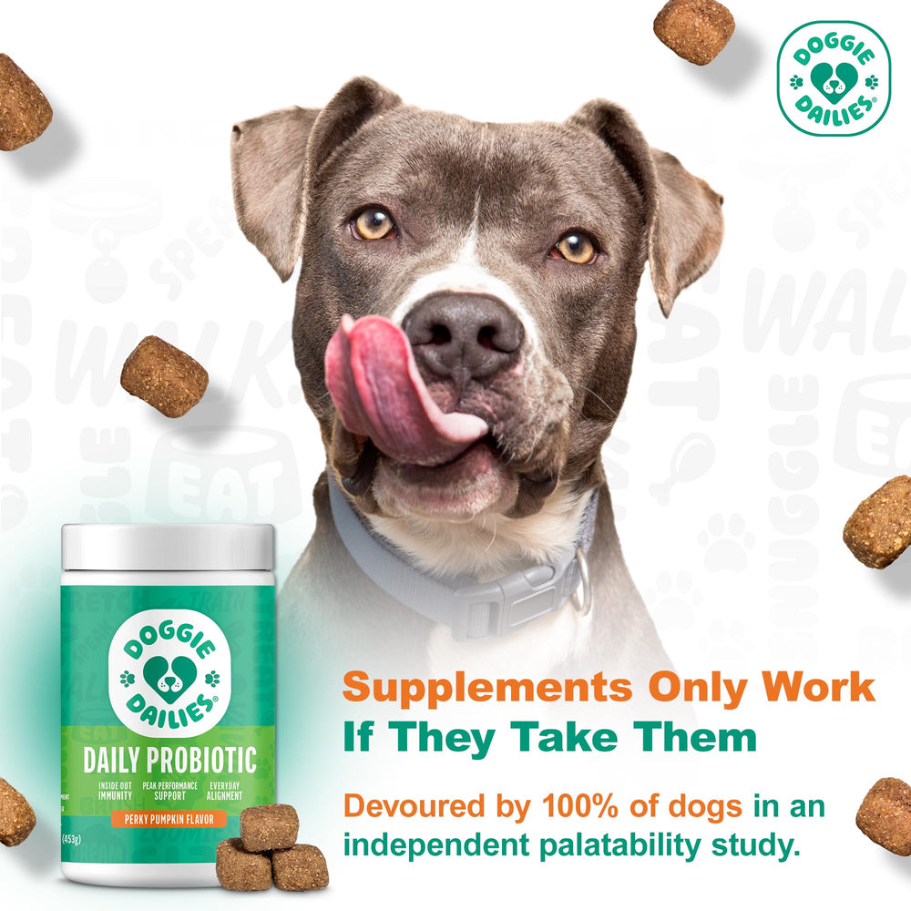 Friandises molles Doggie Dailies Probiotiques, dégustation appréciée par les chiens.