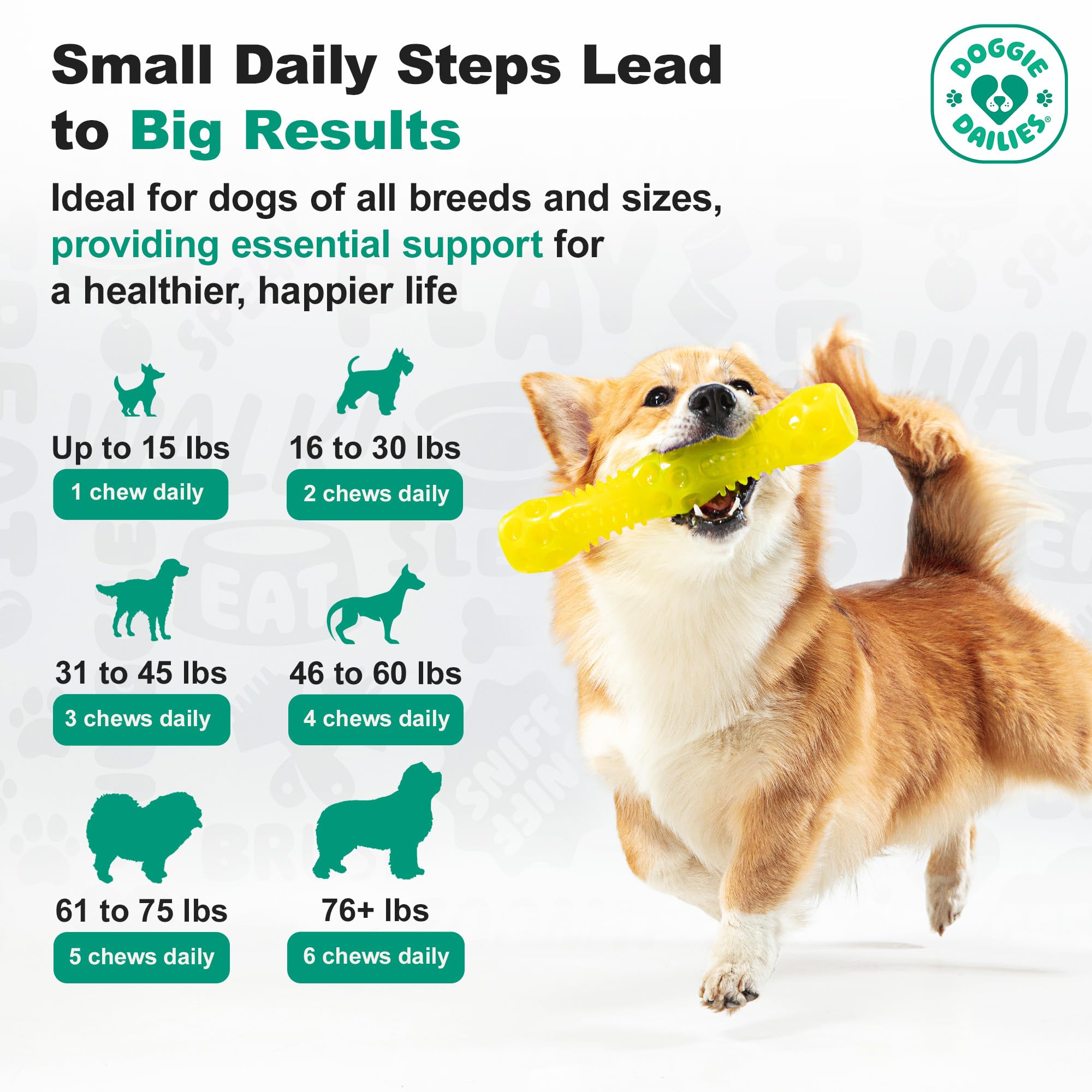 Utilisation quotidienne pour soutenir le bien-être général du chien.