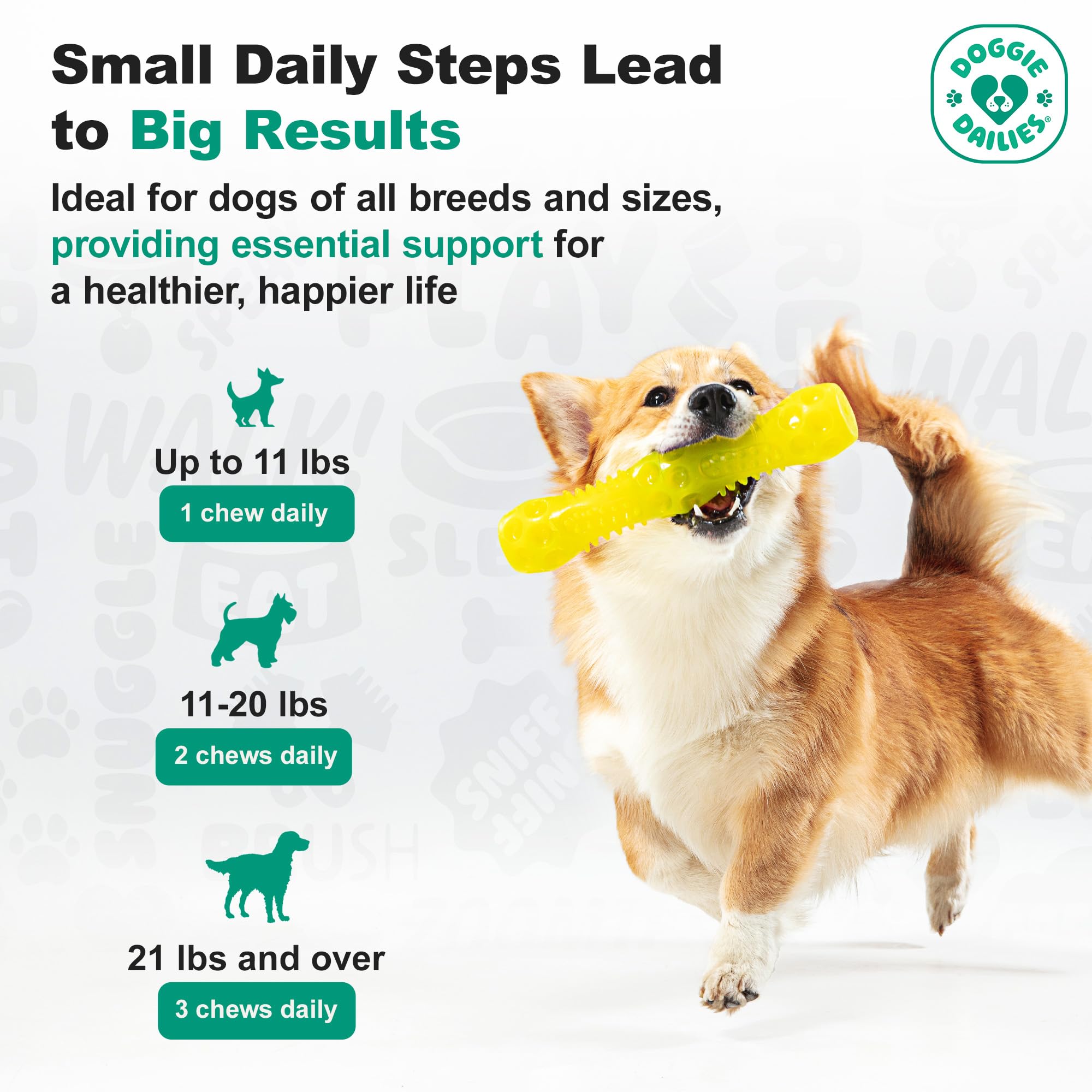 Doggie Dailies Probiotiques chiots – soutien potentiel à une digestion équilibrée.