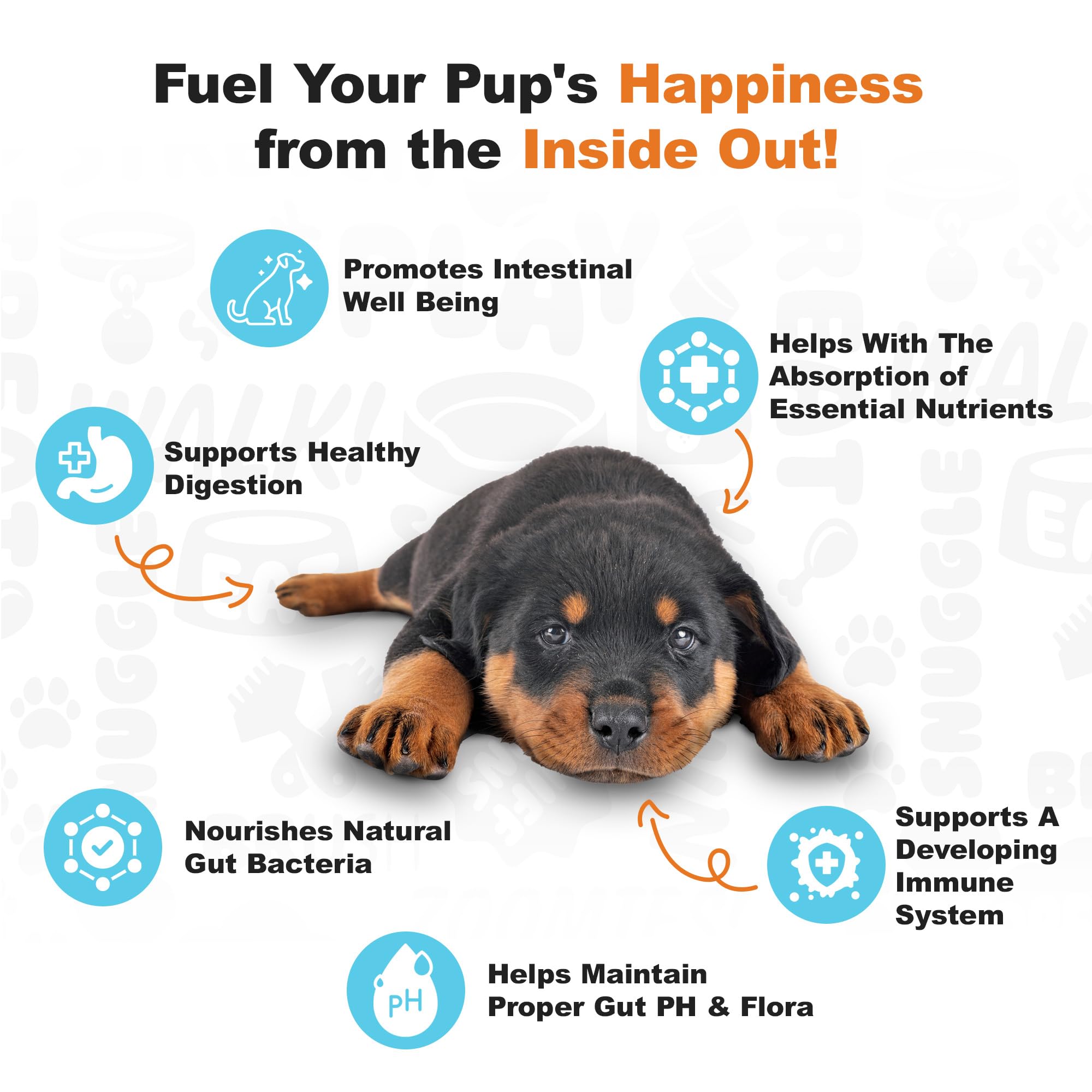 Doggie Dailies Probiotiques chiots – dosage personnalisé selon le poids pour plus de précision.