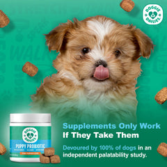 Doggie Dailies Probiotiques chiots – goût appétissant que les chiots adorent.