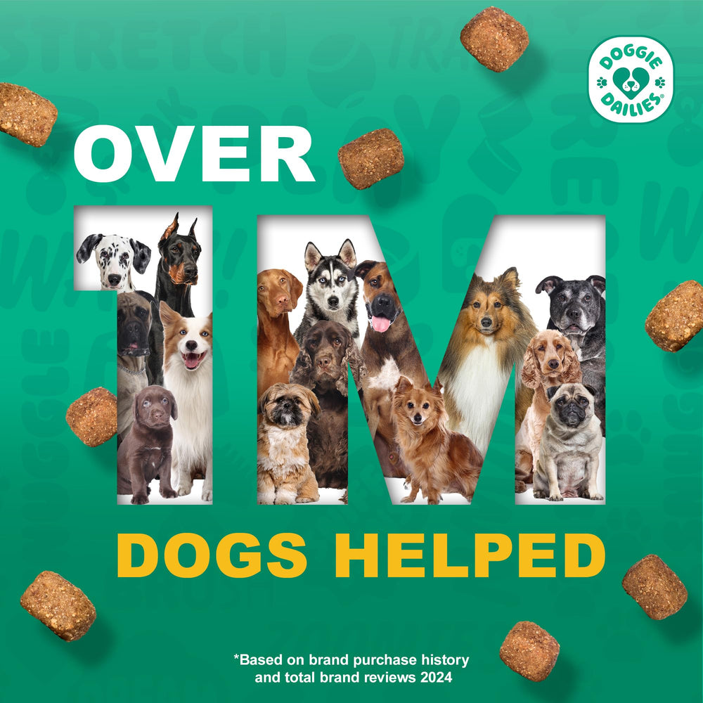 Doggie Dailies – sans-arômes, convient aux chiens sensibles.