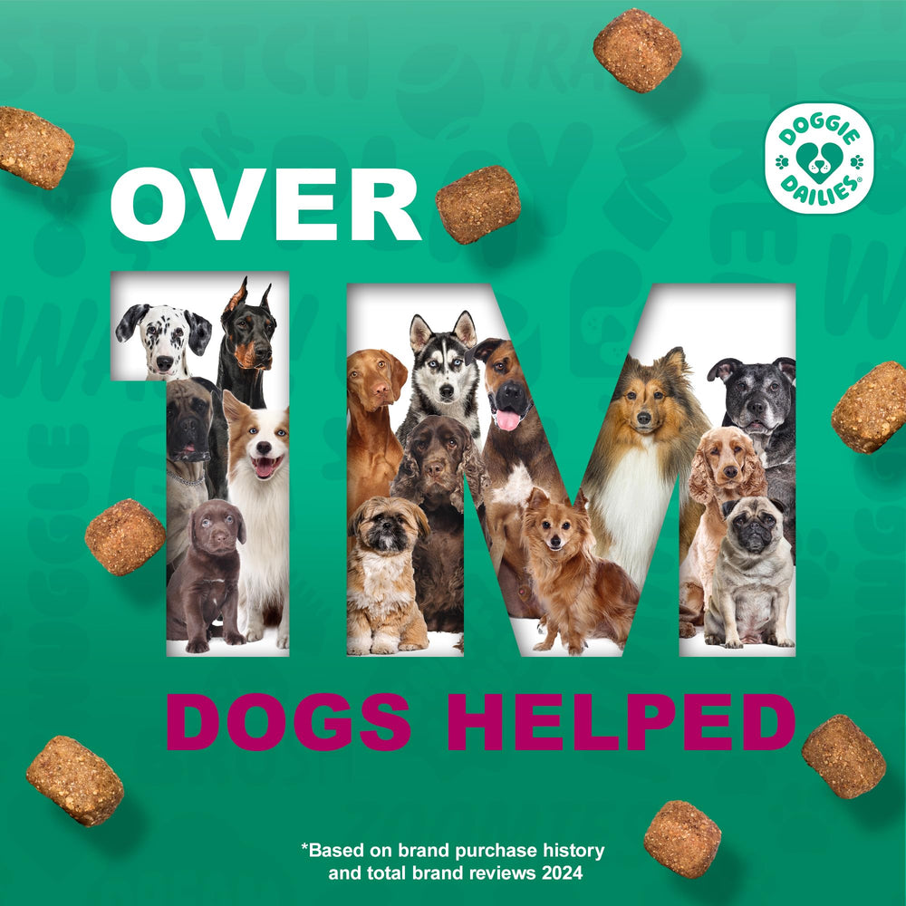 Doggie Dailies soin poil epaisseur chien au poil dense