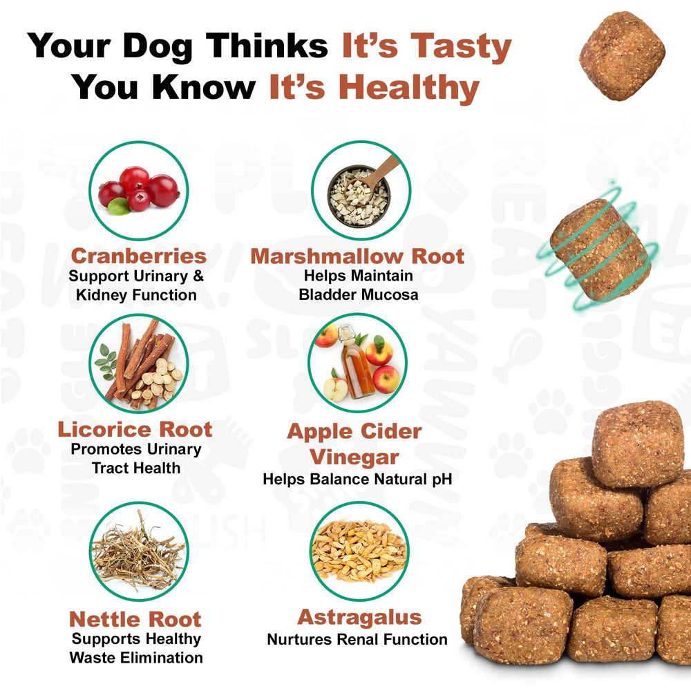 Doggie Dailies – vinaigre de cidre de pomme, ingrédient naturel.