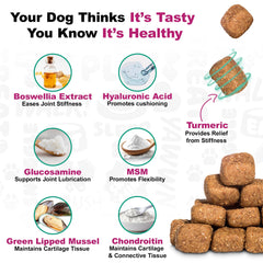 Doggie Dailies yucca-articulations: soutien naturel des tissus conjonctifs.