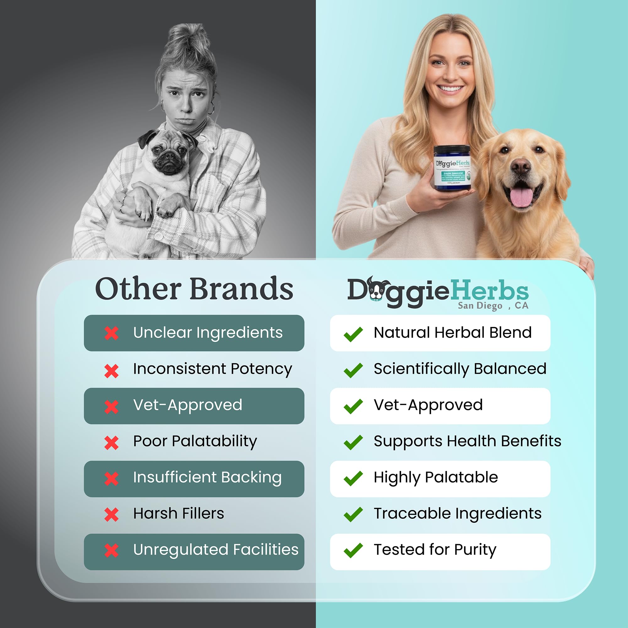 Doggie Herbs – chien actif en mouvement après utilisation.