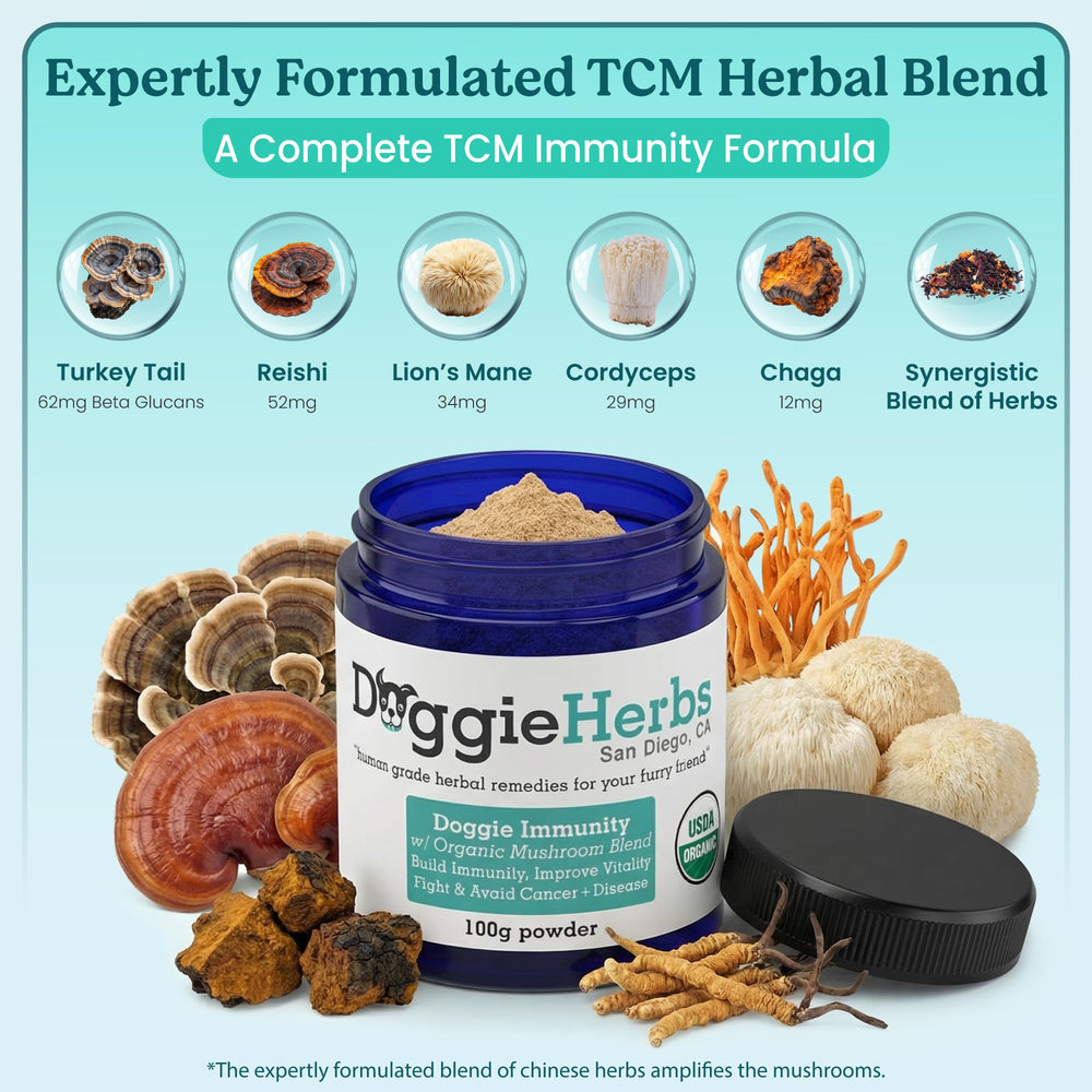 Doggie Herbs Ginseng et Astragale — duo TCM pour renforcer le soutien immunitaire quotidien