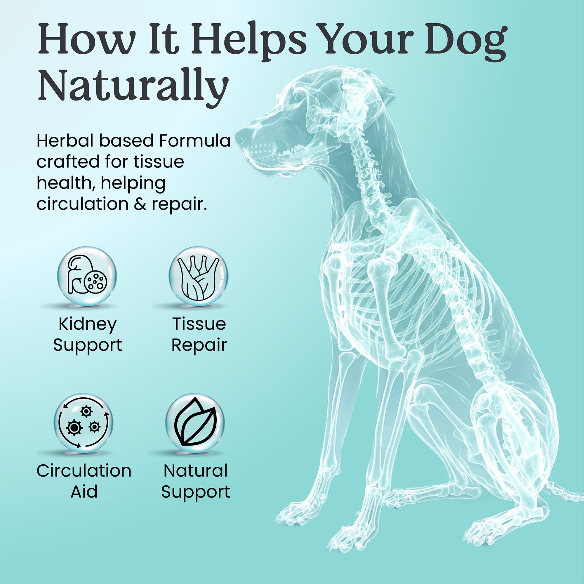 Doggie Herbs – étiquette laboratoire certifiée et contrôle qualité.