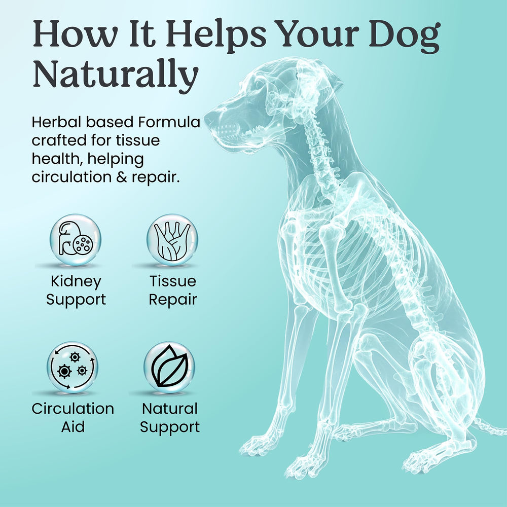 Doggie Herbs – étiquette laboratoire certifiée et contrôle qualité.