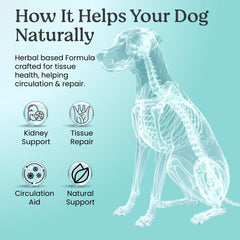 Doggie Herbs – étiquette laboratoire certifiée et contrôle qualité.