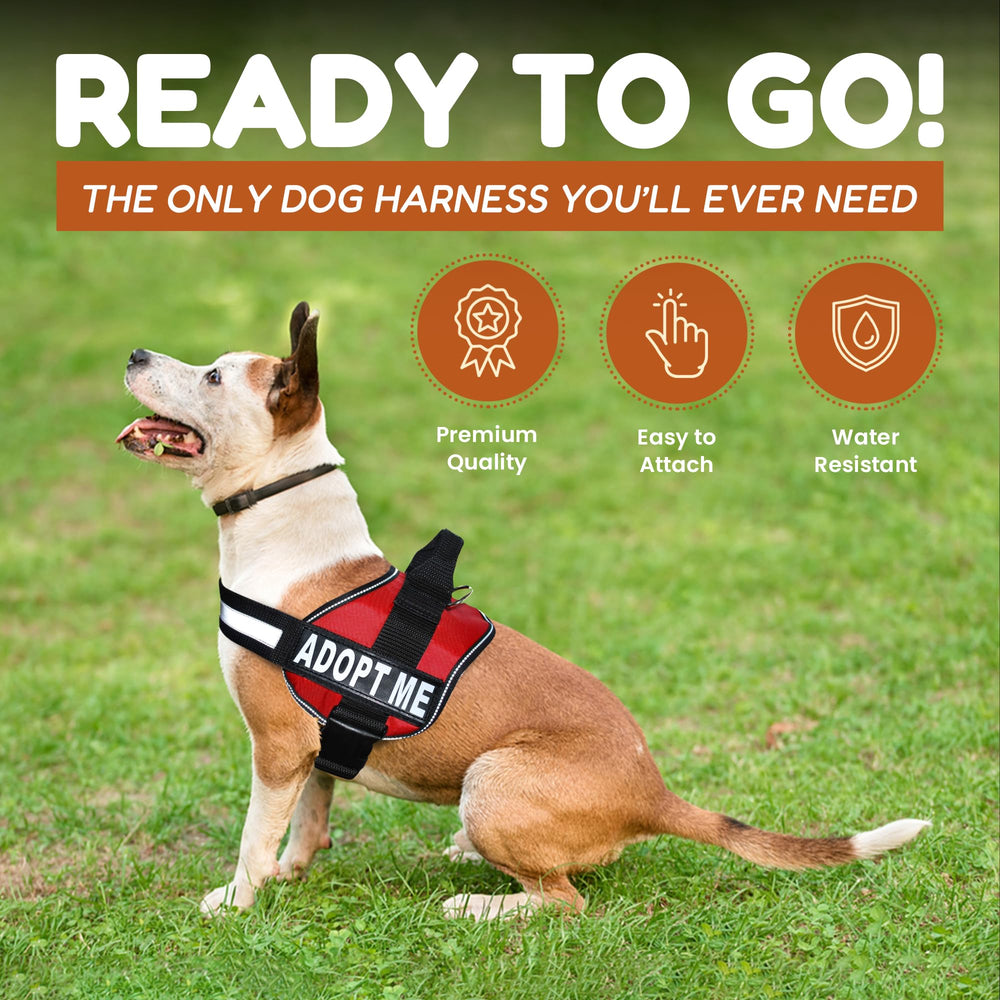 Doggie Stylz accessoire chien Adopt Me, design fonctionnel pour usage quotidien et activités.