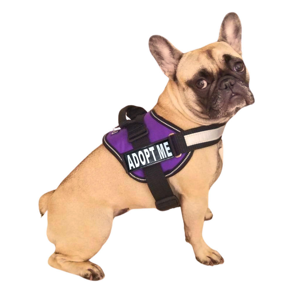 Harnais Doggie Stylz Adopt Me en nylon avec patch réfléchissant pour promenade sécurisée.