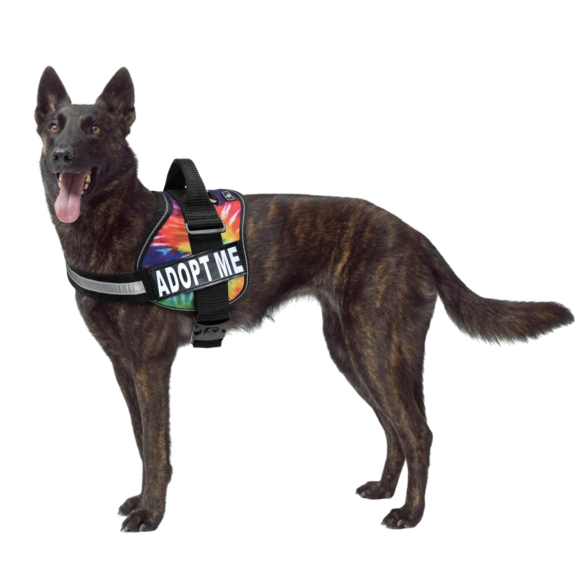 Doggie Stylz gilet réfléchissant adoptez-moi pour une meilleure visibilité nocturne.