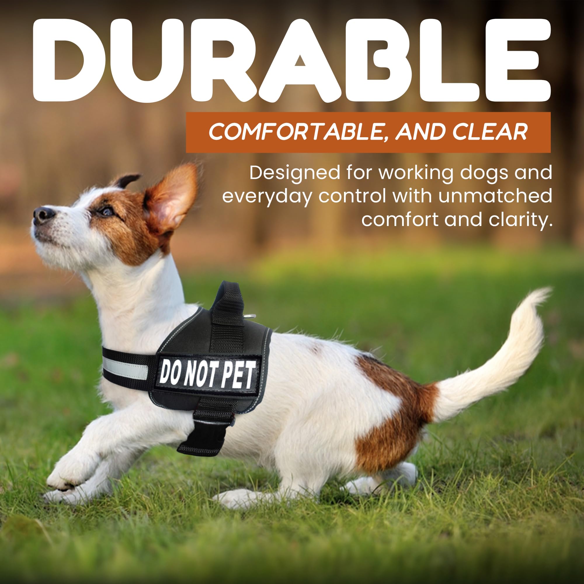Harnais Doggie Stylz taille ajustable pour toutes les morphologies.