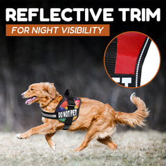 Harnais Doggie Stylz design anti-évasion pour chiens actifs lors des entraînements.