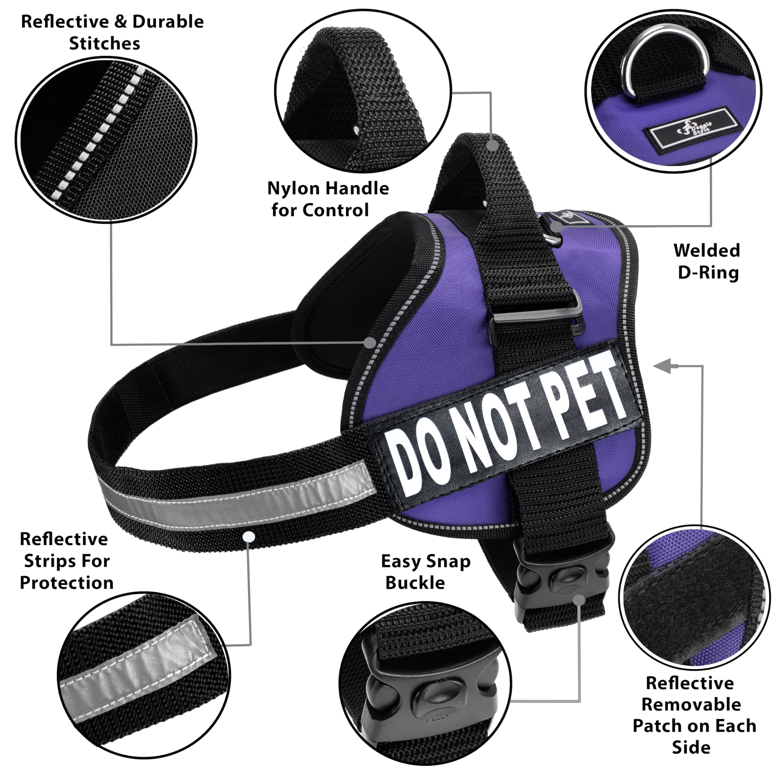 Harnais Doggie Stylz pour chien de service, patch visible lors des séances