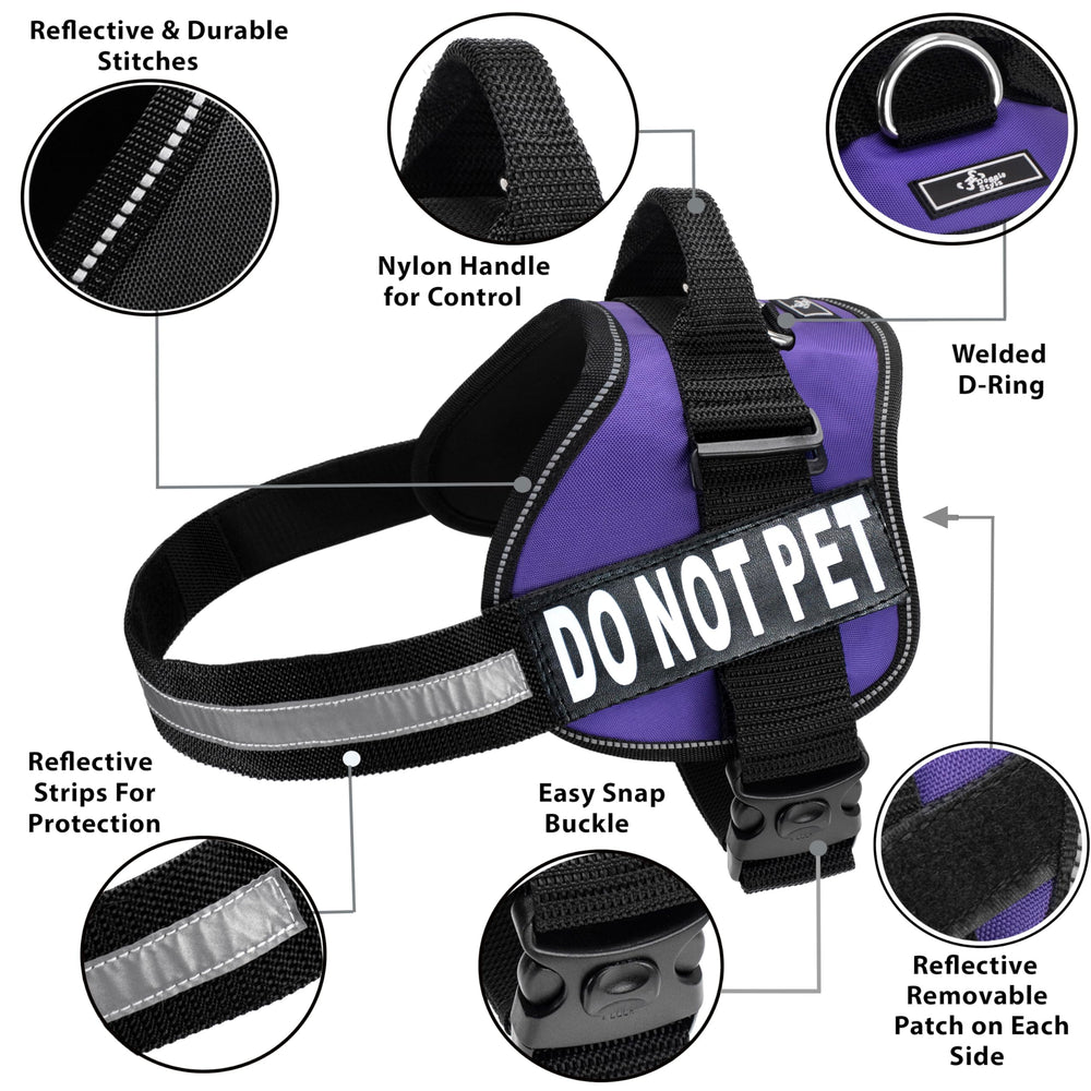 Harnais Doggie Stylz pour chien de service, patch visible lors des séances