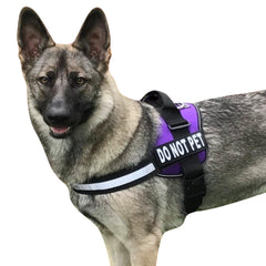 Harnais Doggie Stylz avec patch DO NOT PET pour plus d'espace